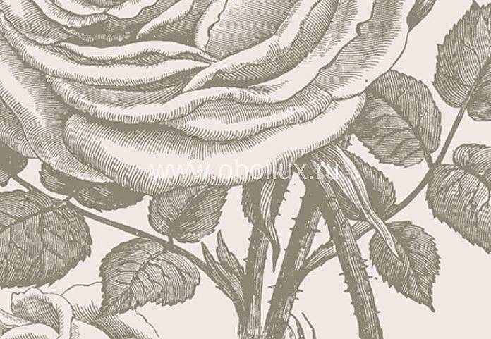 Обои Borastapeter Flora 3330