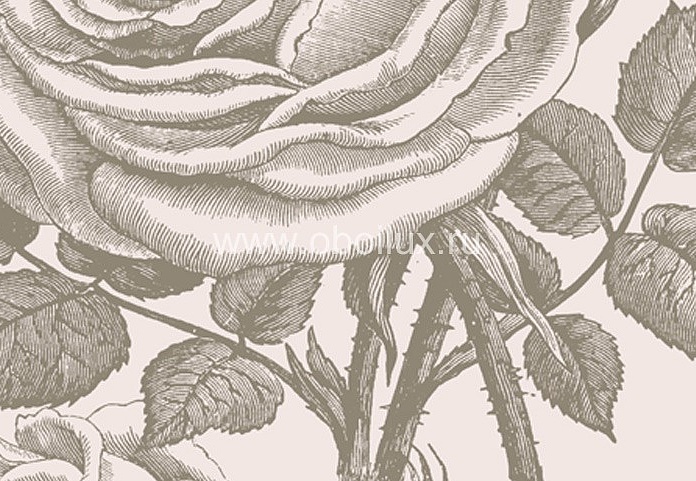 Обои Borastapeter Flora 3330