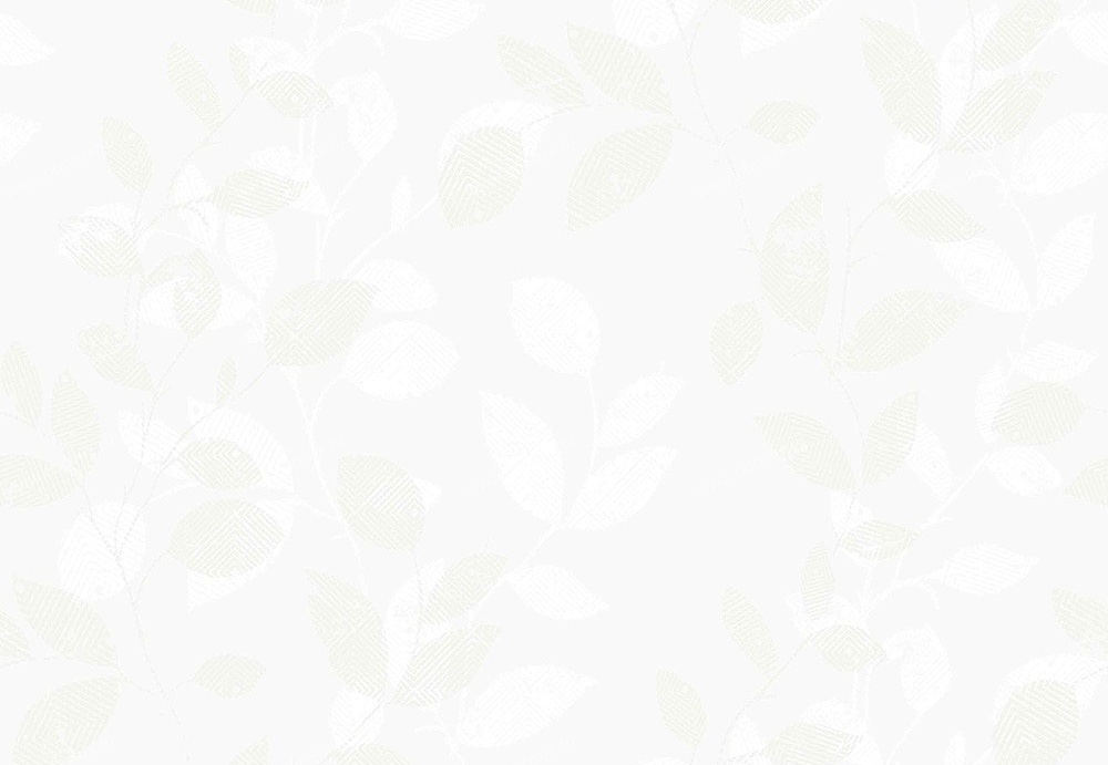 Обои Borastapeter Everyday 2866
