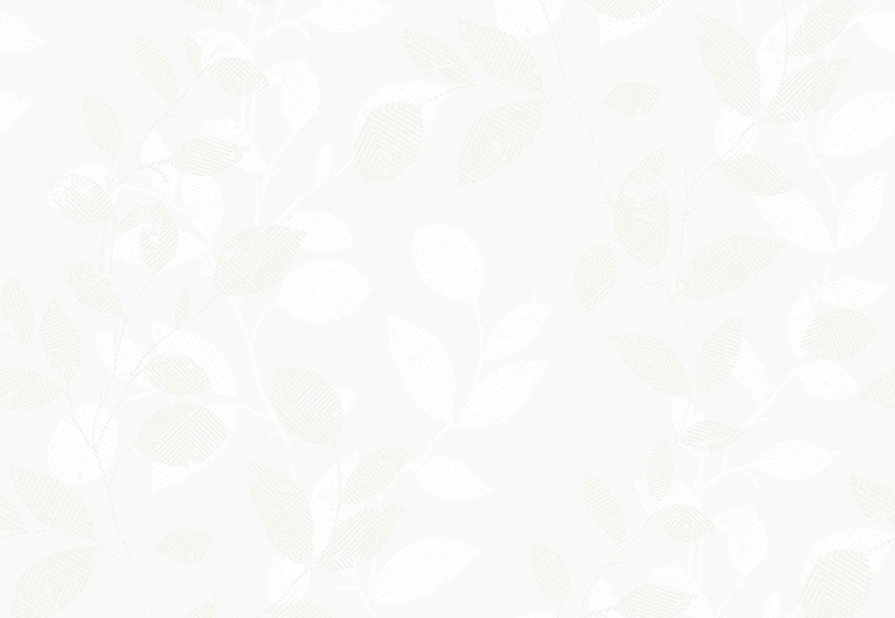 Обои Borastapeter Everyday 2866