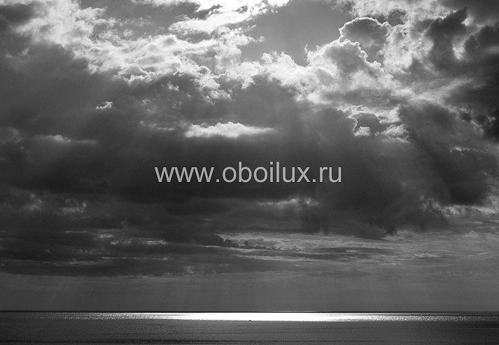 Обои Eco Photo 2442