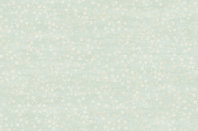 Обои York Carey Lind - Elements RL1102
