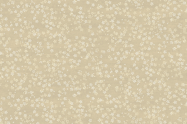 Обои York Carey Lind - Elements RL1103