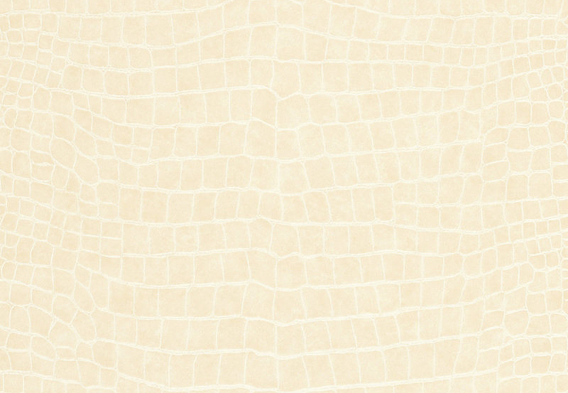 Обои Ralph Lauren Serengeti Textures LWP64987W