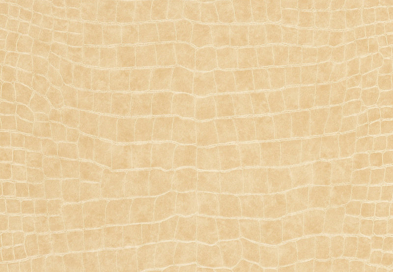 Обои Ralph Lauren Serengeti Textures LWP64988W