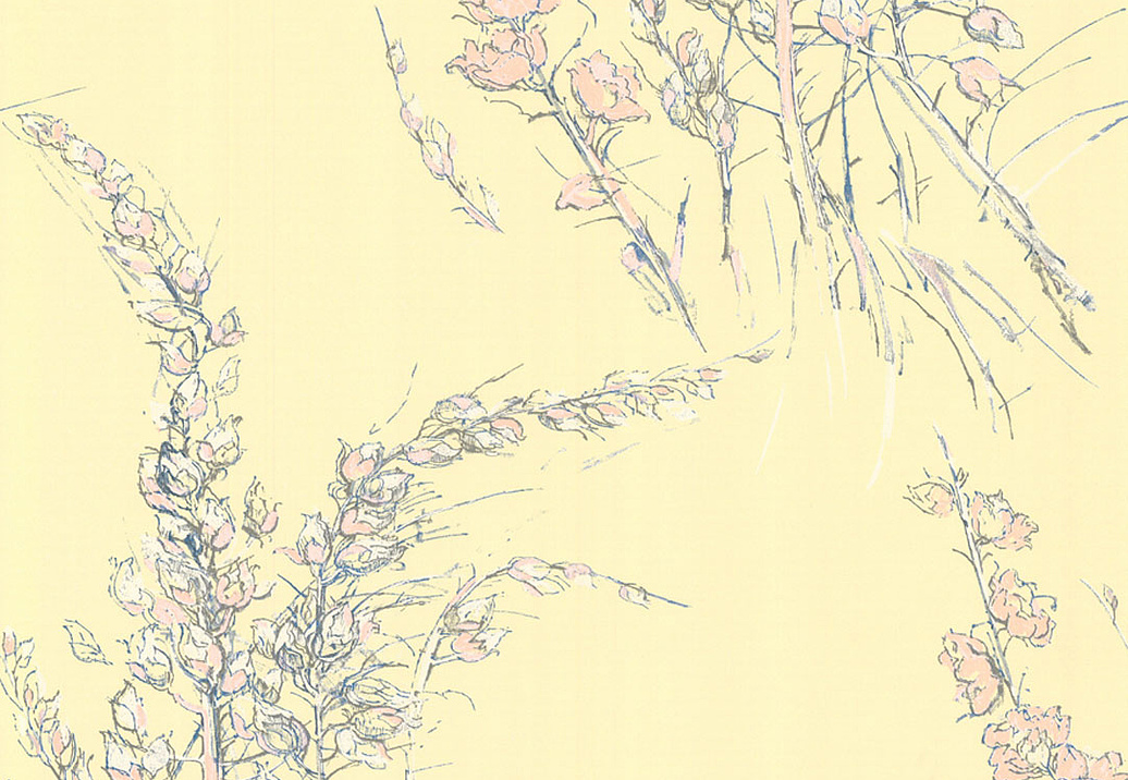 Обои Cole & Son New Contemporary 2 69/11143