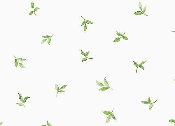 Обои Aura English Florals G34342