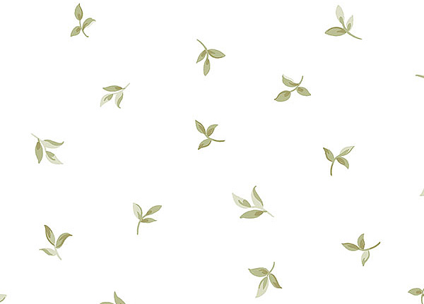 Обои Aura English Florals G34343