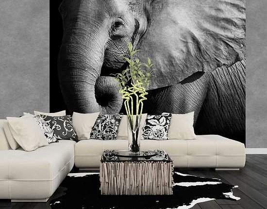 Панно и фотообои Decoprint Mood MD903013