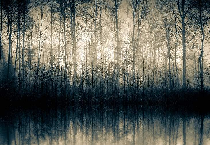 Панно и фотообои Decoprint Mood MD904002