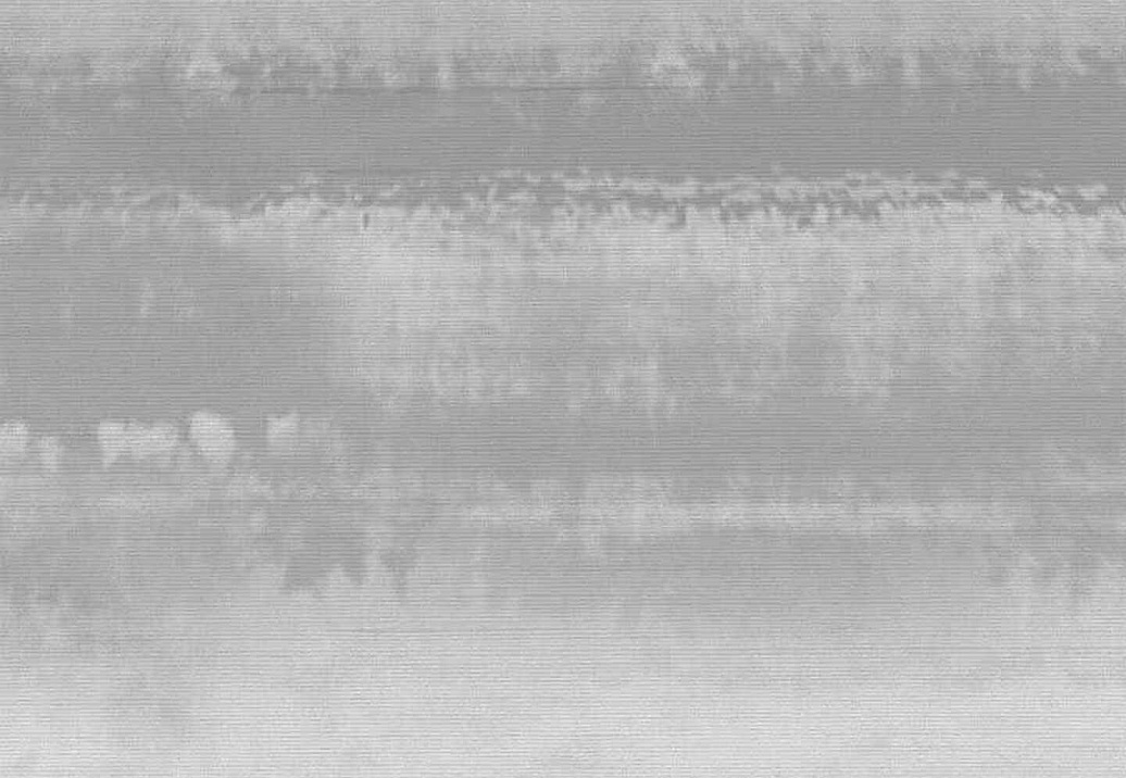 Обои Phillip Jeffries Gallery 8692