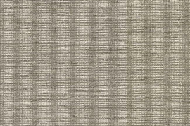 Обои Carlisle & Co High Performance Vinyl LX1551
