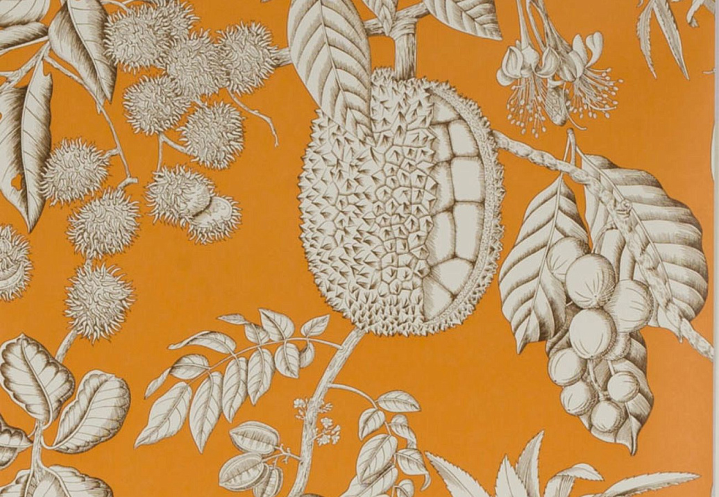 Обои Manuel Canovas Balangan 03106-01