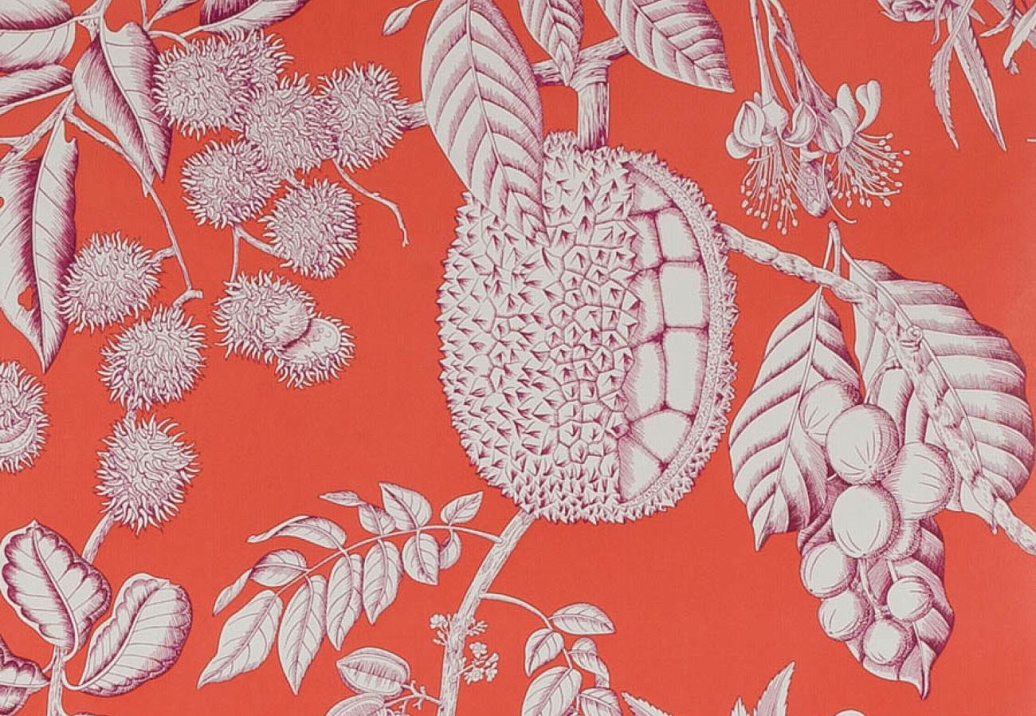 Обои Manuel Canovas Balangan 03106-02