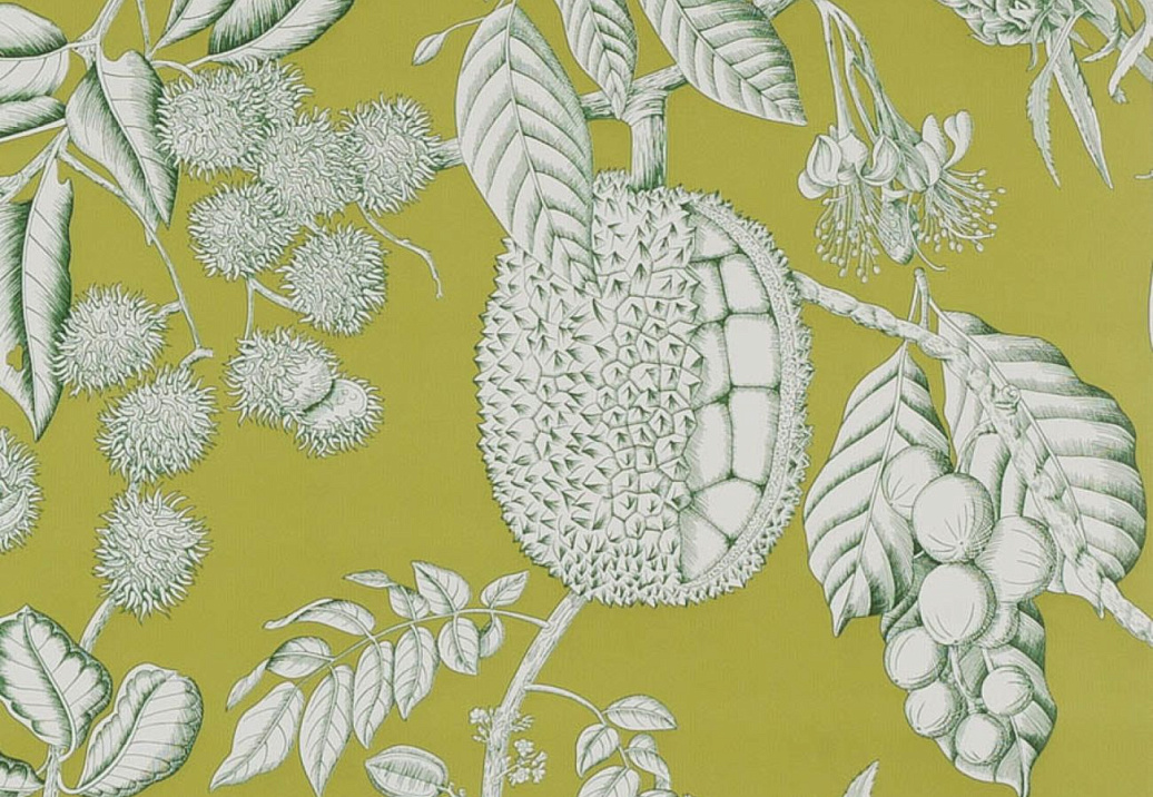 Обои Manuel Canovas Balangan 03106-03