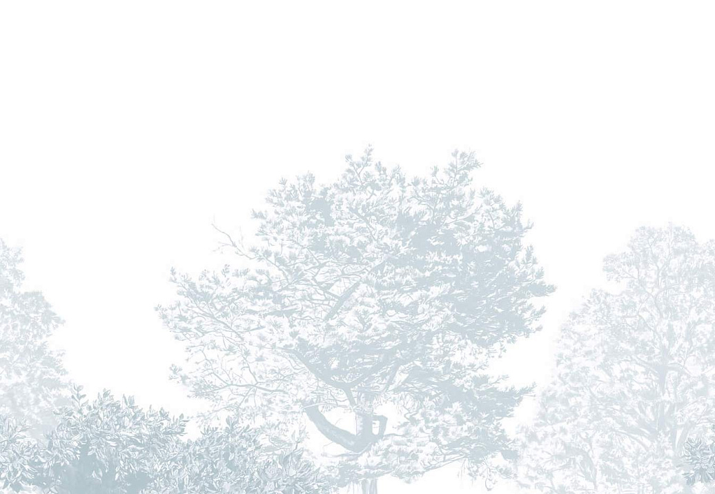 Панно и фотообои Sian Zeng Classic Wallpapers HUATREES05