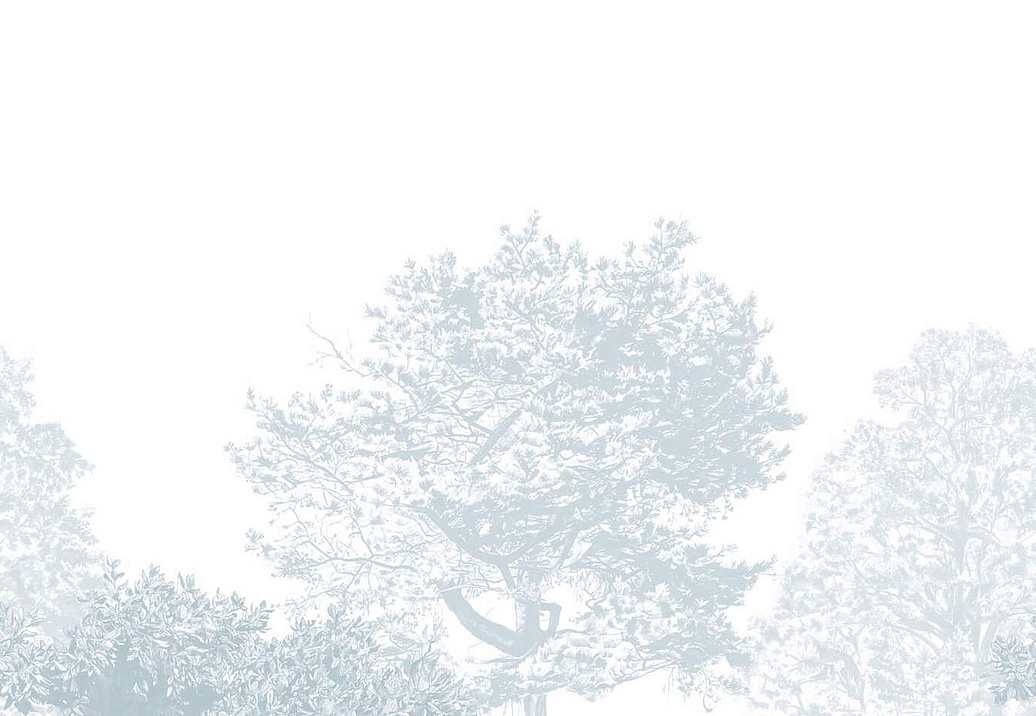 Панно и фотообои Sian Zeng Classic Wallpapers HUATREES05