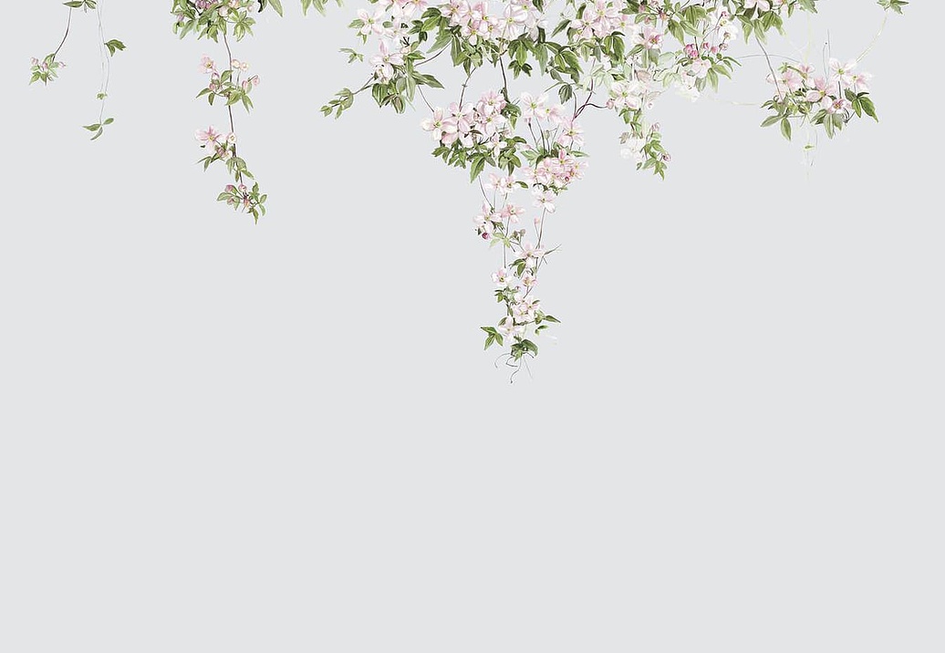 Панно и фотообои Sian Zeng Classic Wallpapers ClemB