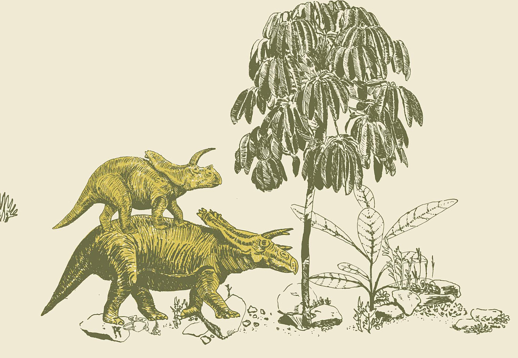 Обои Sian Zeng Classic Wallpapers DINO10