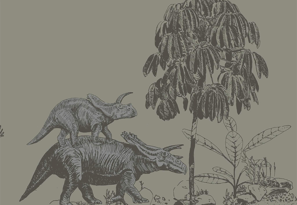Обои Sian Zeng Classic Wallpapers DINO01