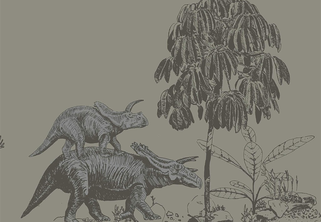 Обои Sian Zeng Classic Wallpapers DINO01
