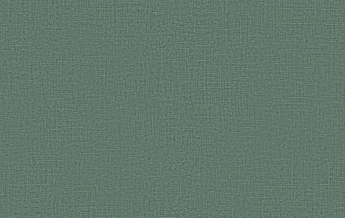 Бельгийские обои Omexco, коллекция High Performance Textures, артикул HPT202