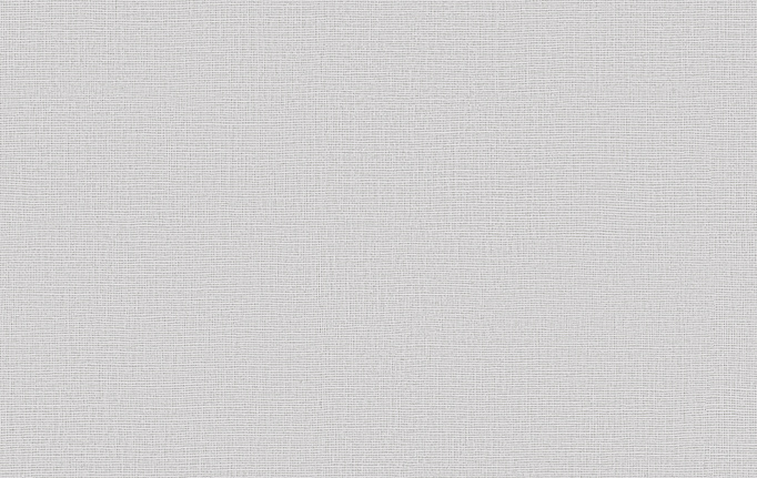 Бельгийские обои Omexco, коллекция High Performance Textures, артикул HPT204