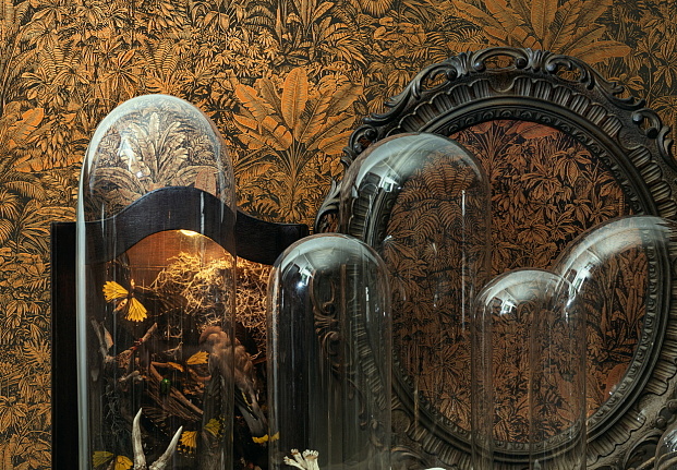 Обои Khroma Cabinet of curiosities CAB304