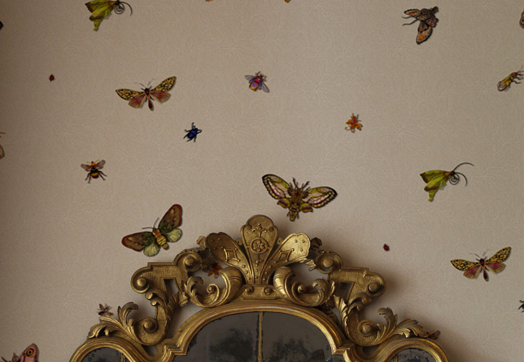 Обои Timorous Beasties Ruskin Collection RUS/NCR/MATT/01