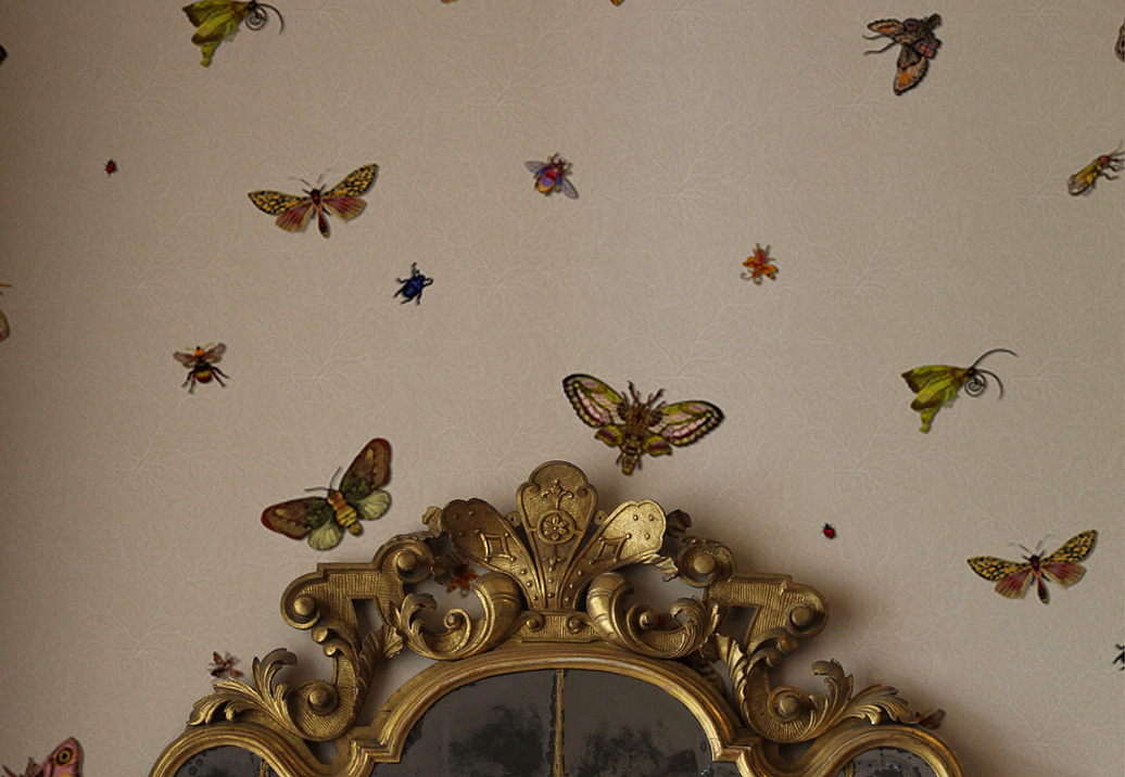 Обои Timorous Beasties Ruskin Collection RUS/NCR/MATT/01