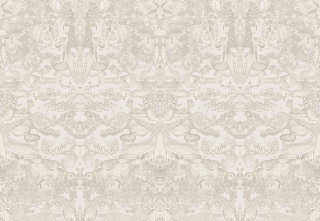 Обои Timorous Beasties Rorschach Collection TB/ROLB/FIB/04