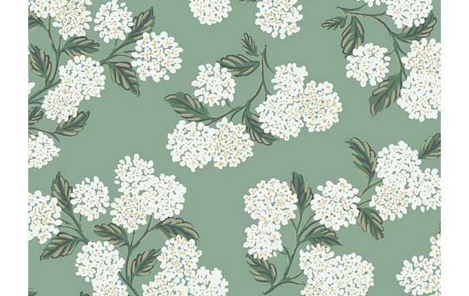 Американские обои York, коллекция Rifle Paper Co, артикул RI5145
