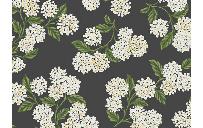 Американские обои York, коллекция Rifle Paper Co, артикул RI5146