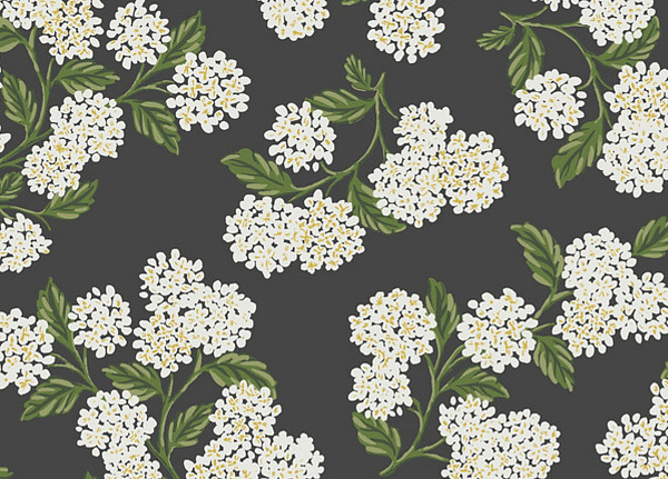 Обои York Rifle Paper Co RI5146