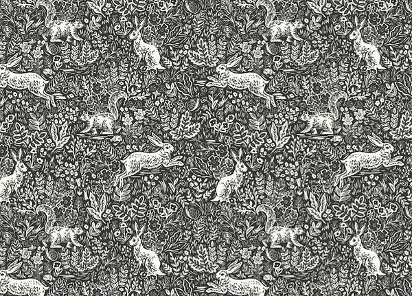 Обои York Rifle Paper Co RI5105