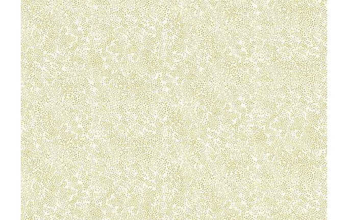 Американские обои York, коллекция Rifle Paper Co, артикул RI5112