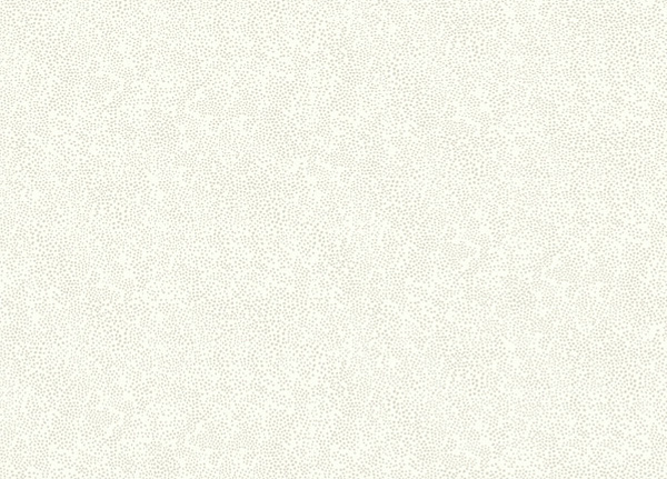 Обои York Rifle Paper Co RI5115
