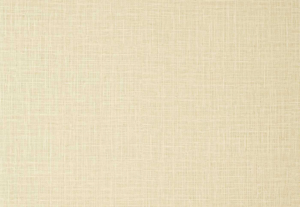 Обои Thibaut Texture Resource 7 TWW10951