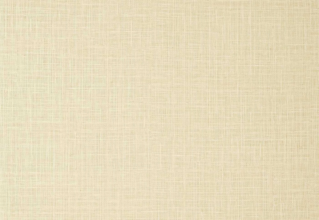 Обои Thibaut Texture Resource 7 TWW10951