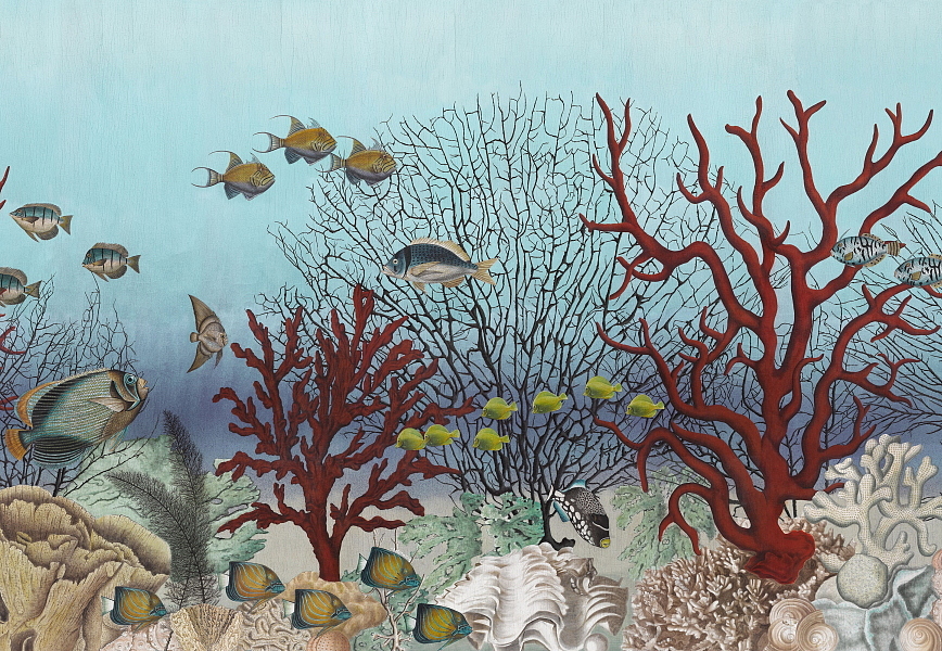 Обои Iksel Standart Collection D-Ocean Still Life