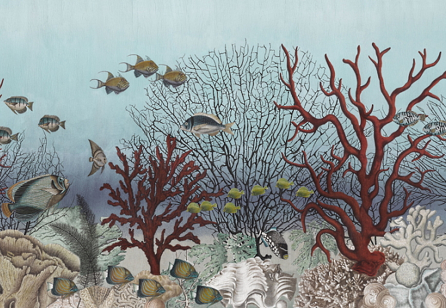Обои Iksel Standart Collection D-Ocean Still Life