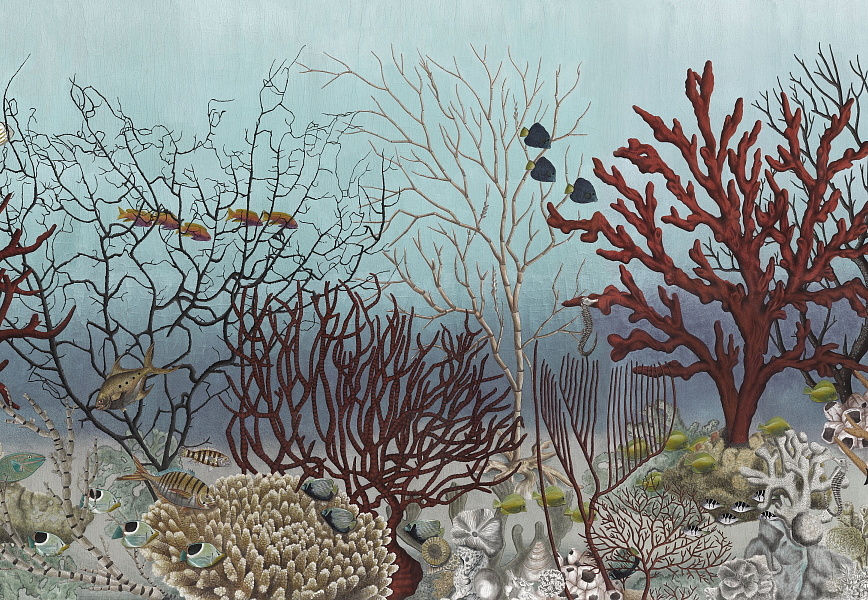 Обои Iksel Standart Collection D-Ocean Still Life
