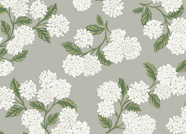 Обои York Rifle Paper Co RI5144