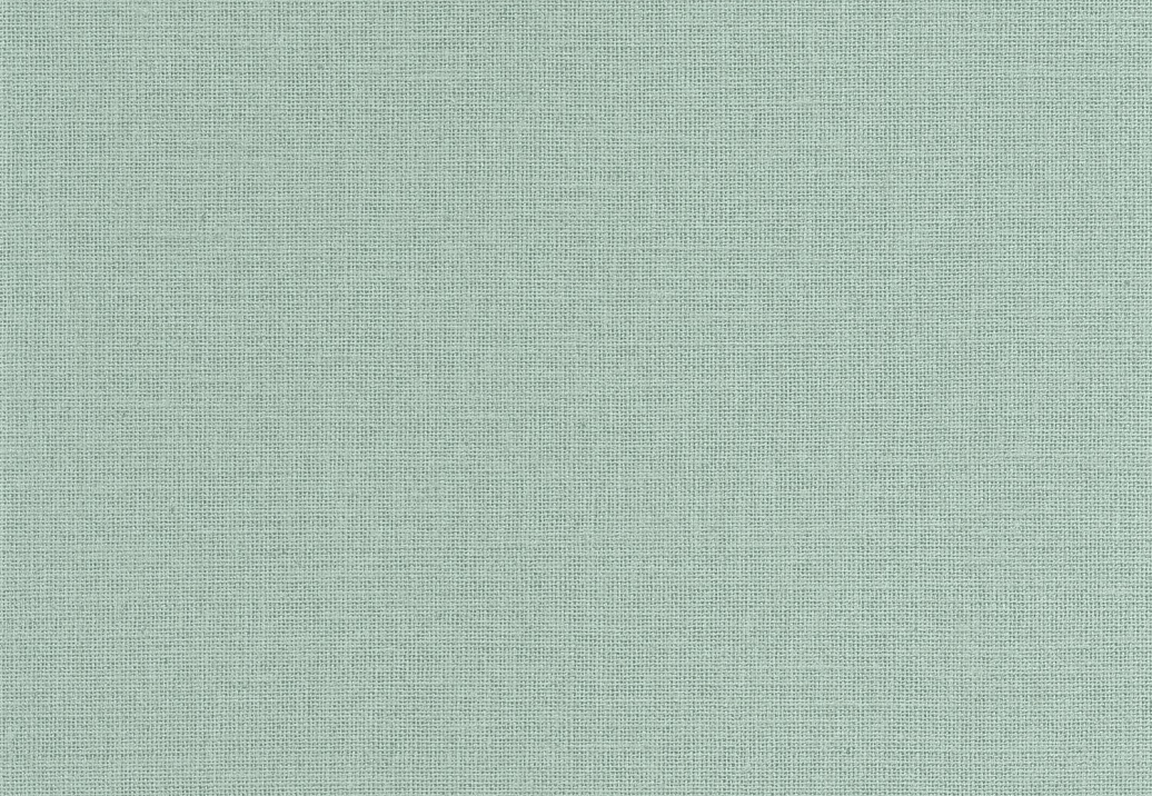Обои Caselio Jute JTE104017569
