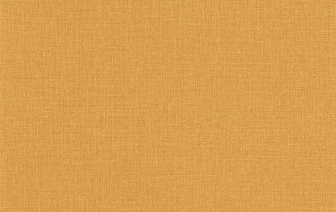 Французские обои Caselio, коллекция Jute, артикул JTE104012812