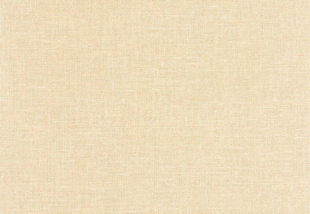 Обои Caselio Jute JTE104012780