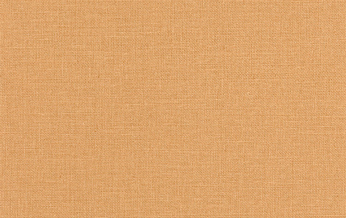 Французские обои Caselio, коллекция Jute, артикул JTE104013000