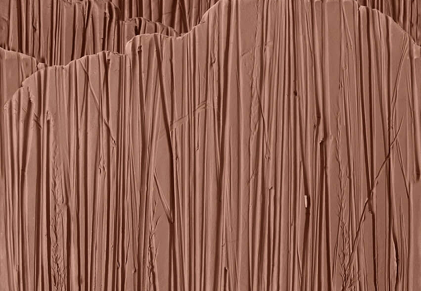 Панно и фотообои Wall & Deco Wet System 2022 WET_ST2201