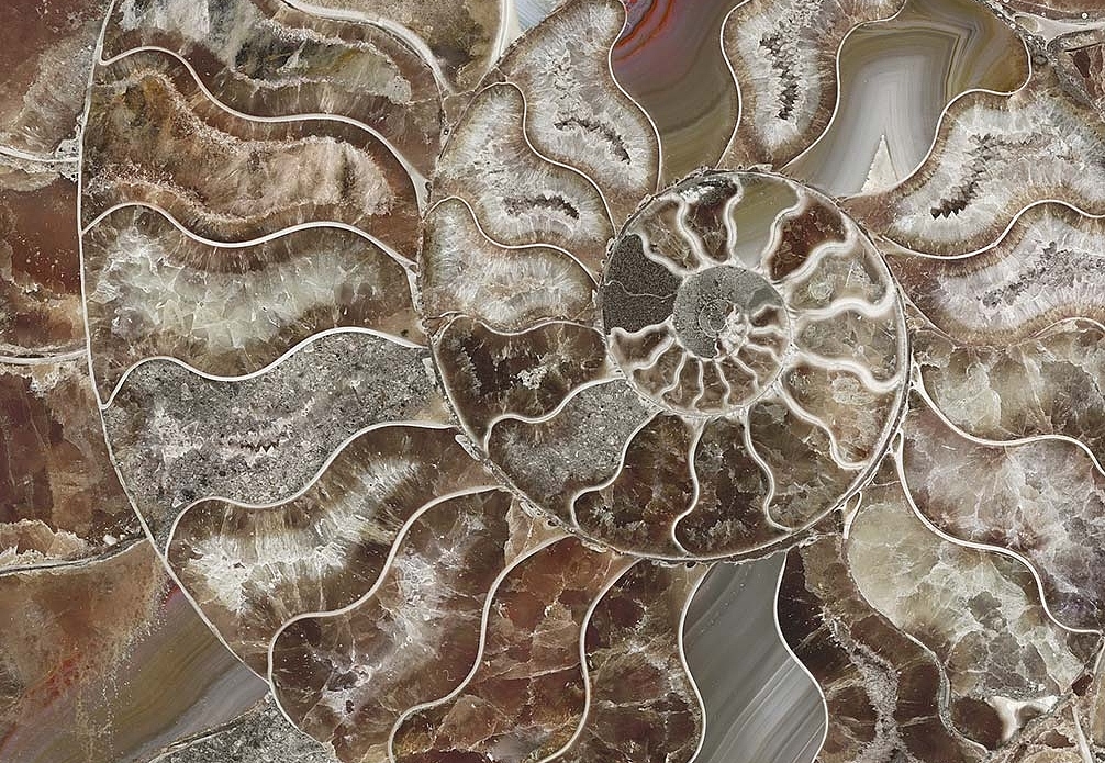 Обои Tecnografica Decorative Panels 79259-1