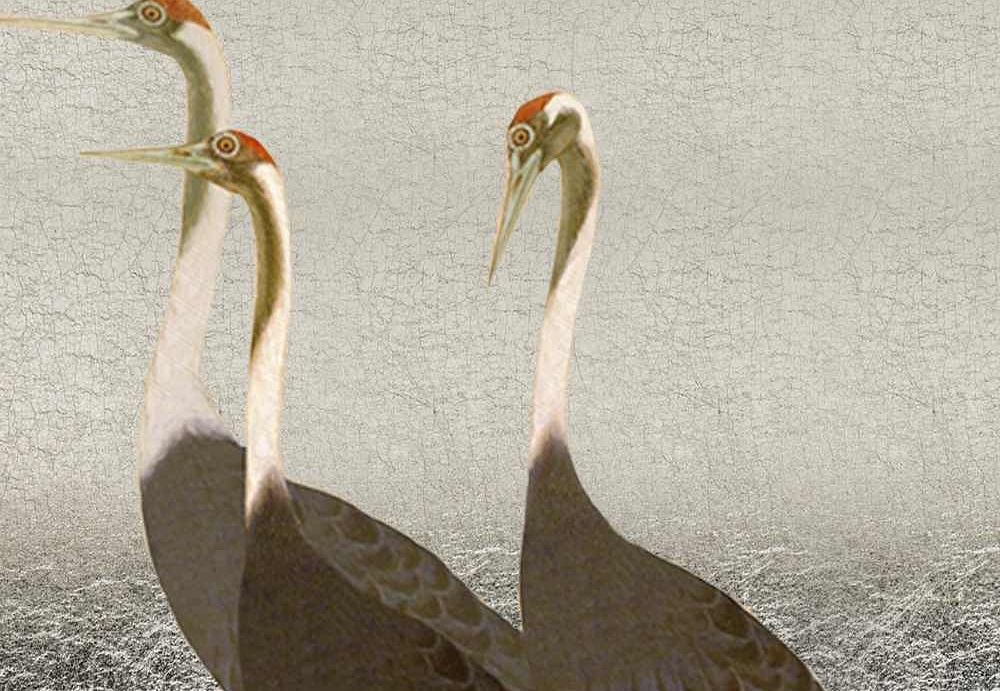 Панно и фотообои Misha Asia Cranes/Silver